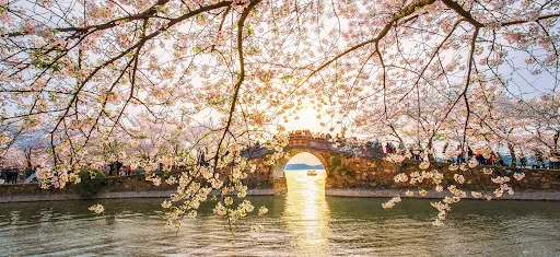 无锡太湖鼋头渚风景区1.jpg