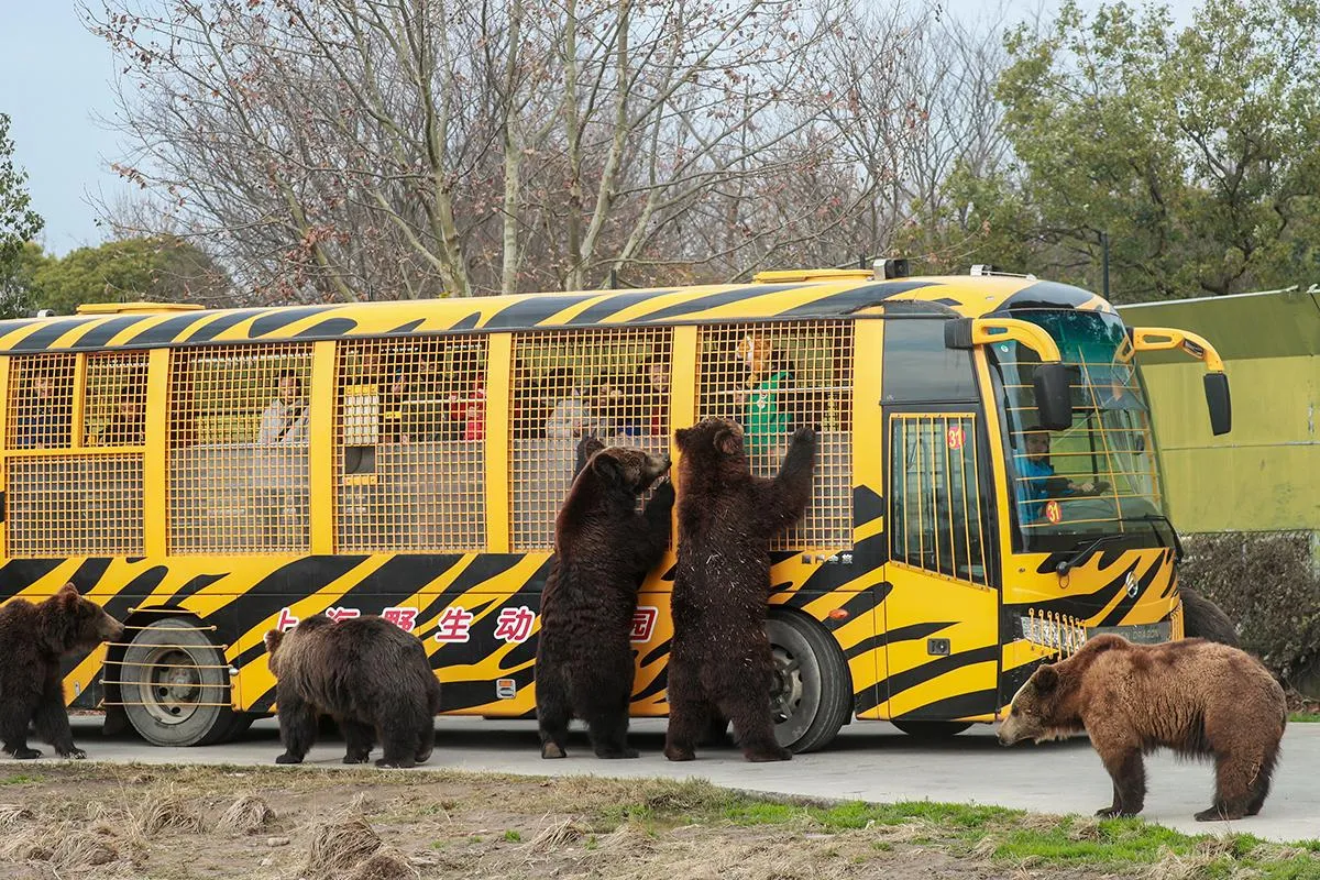 shanghaiwildanimal2.jpg