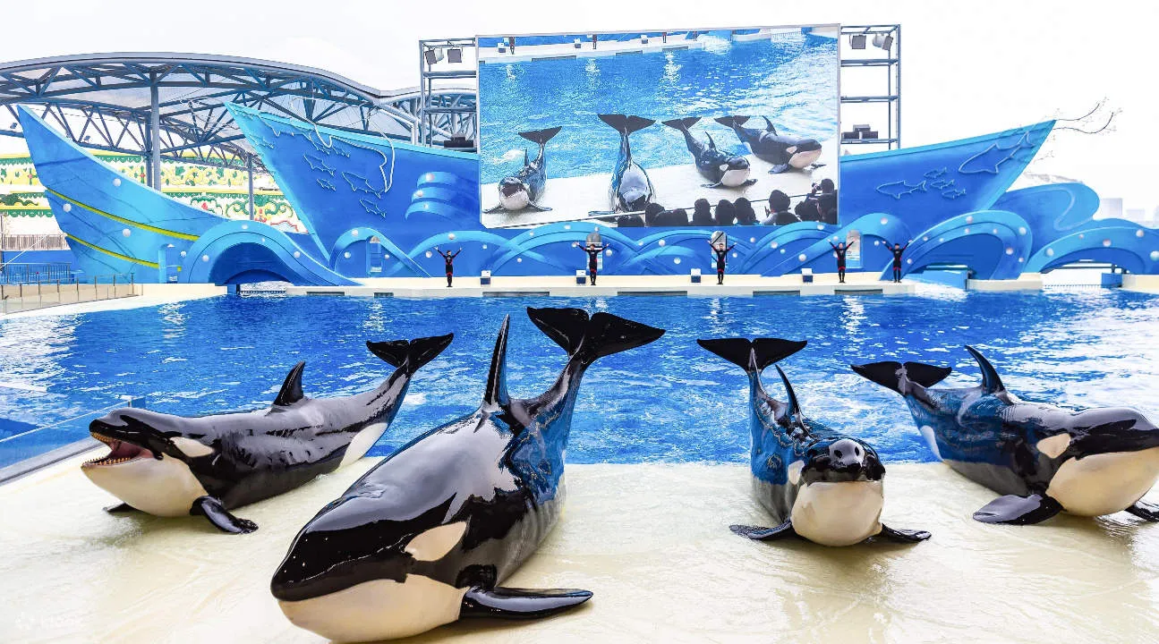 ShanghaiHaichangOceanParkTicketforMainlandChineseCitizens.jpg