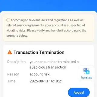 Как избежать блокировки Alipay