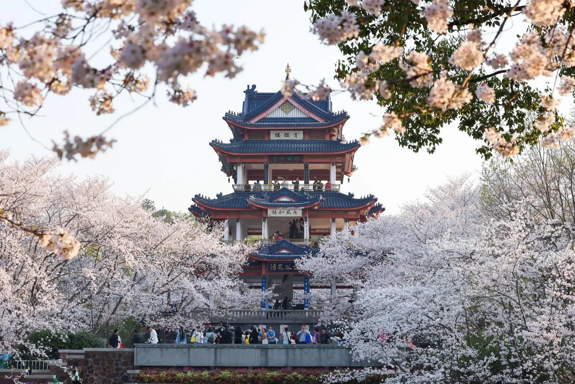 无锡太湖鼋头渚风景区3.webp