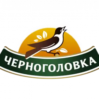 Логотип компании Черноголовка