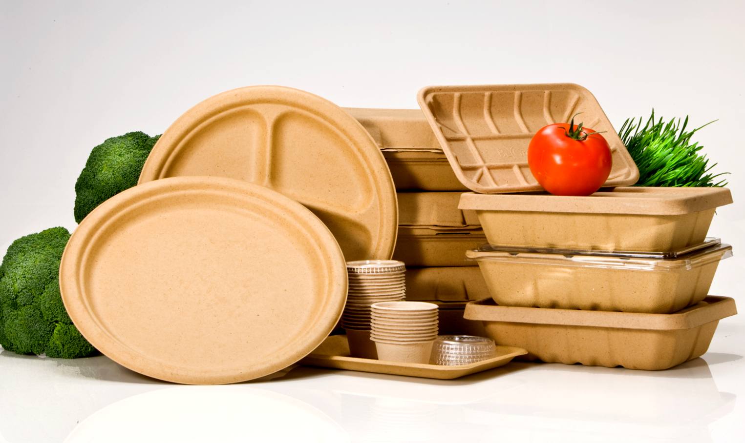 Биоразлагаемая продукция