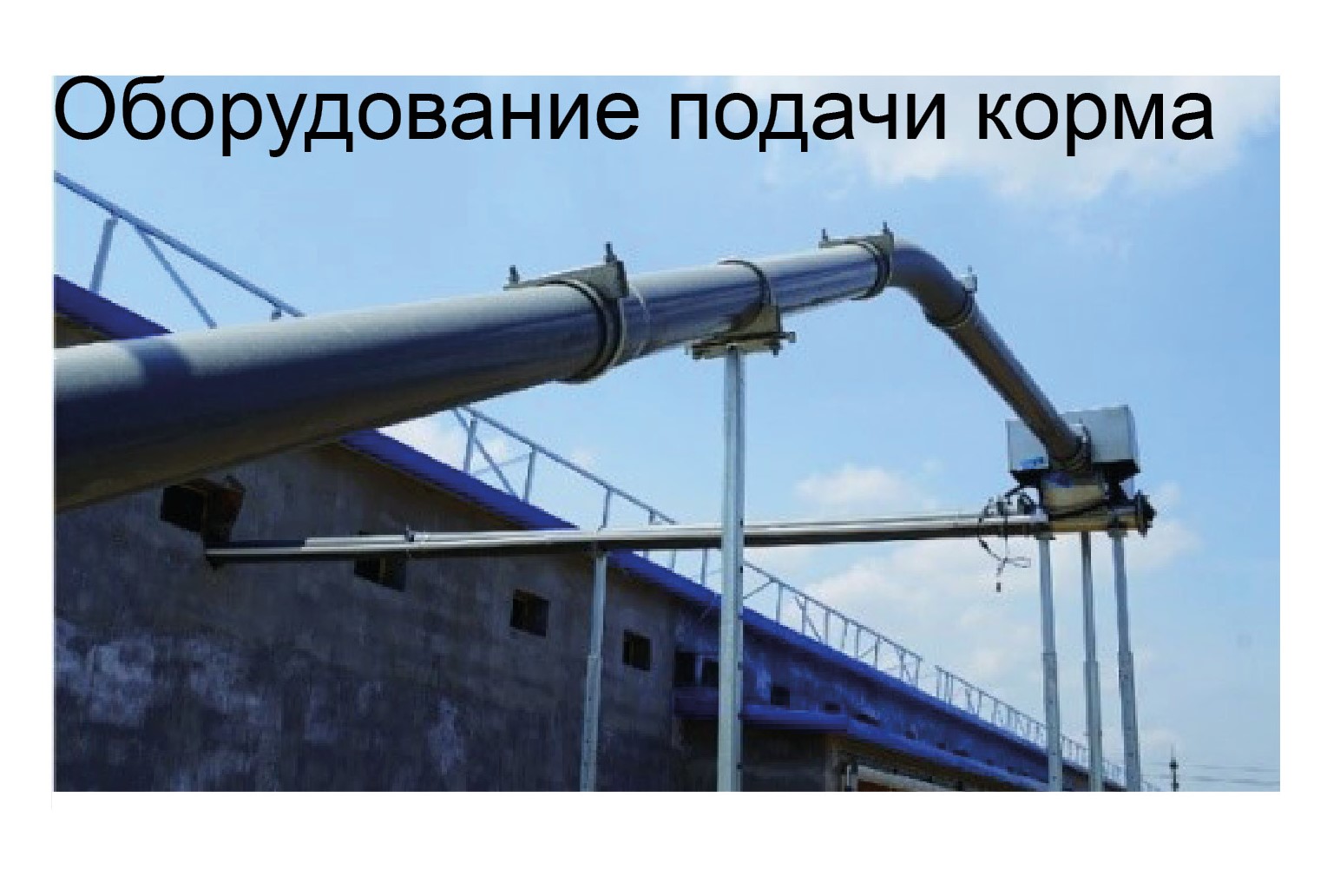 Оборудование для птичника для кур-несушек