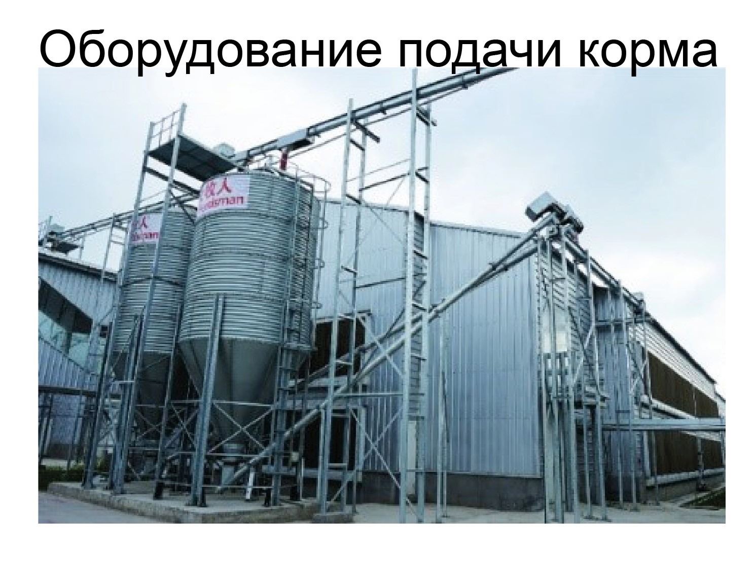 Оборудование для птичника для кур-несушек