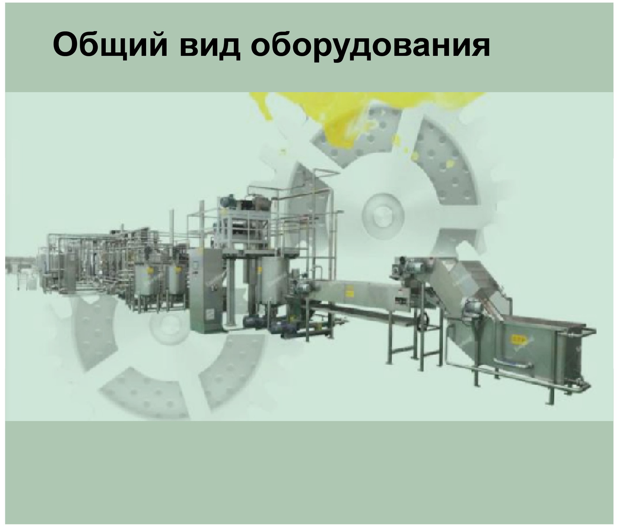 Линия для производства неосветленного сока из свежих яблок производительностью 5000 тонн