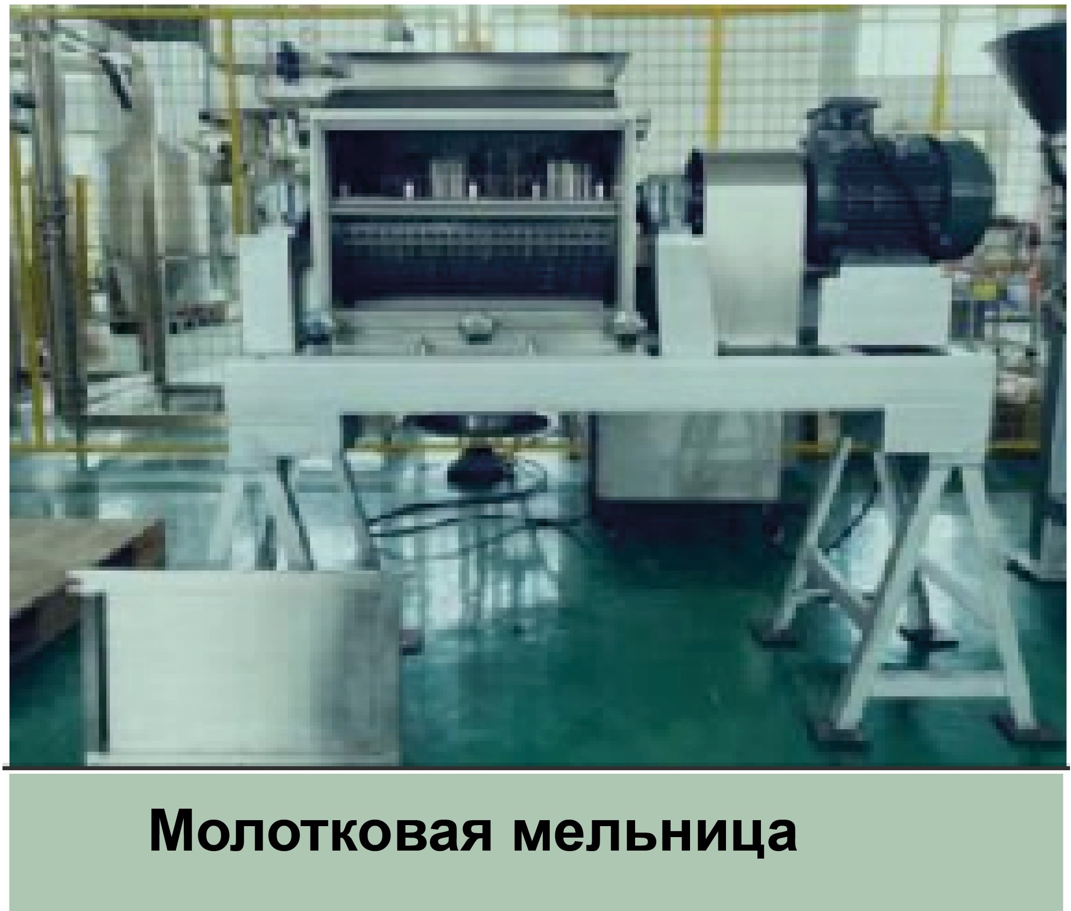 Линия для производства неосветленного сока из свежих яблок производительностью 5000 тонн